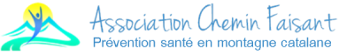 Logo Chemin Faisant long